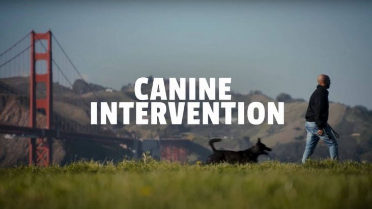 Canine Academy izle