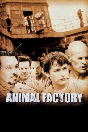 Hayvan Fabrikası izle