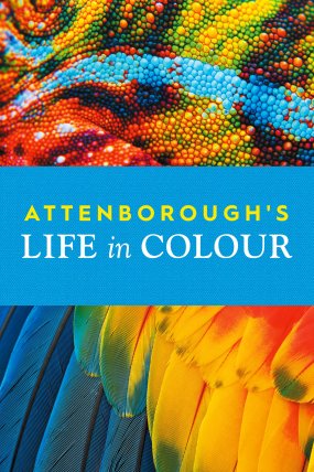 Attenborough's Life in Colour izle