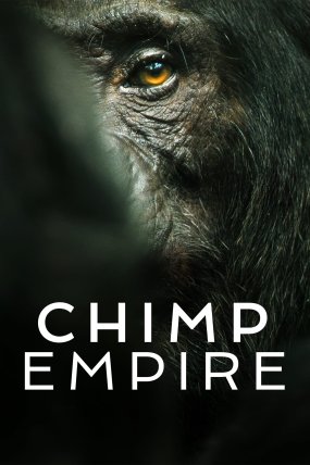 Şempanze İmparatorluğu izle