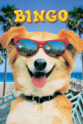 Kahraman Köpek Bingo izle