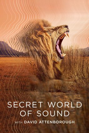 Secret World of Sound izle