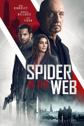 Spider in the Web izle