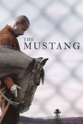 The Mustang izle