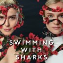 Swimming with Sharks